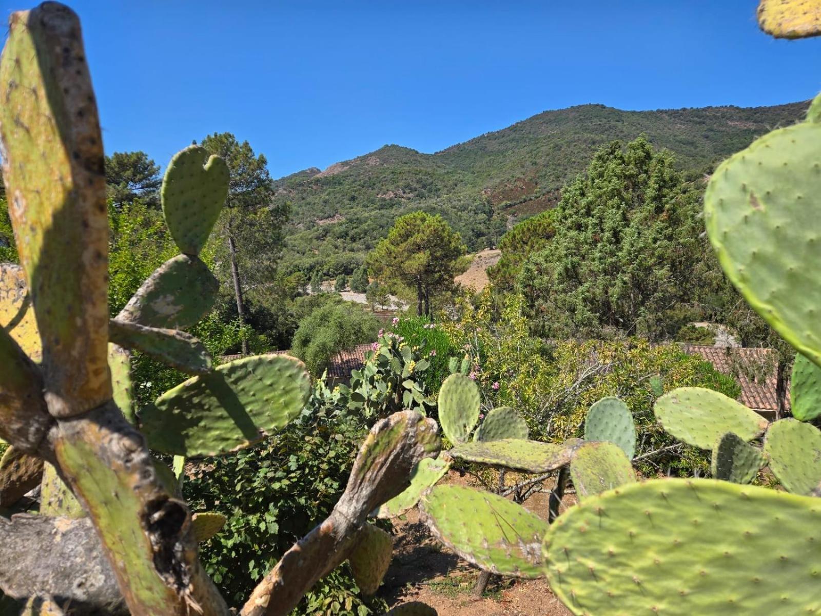 Domaine De L'Oriu Hotel Serriera  Bagian luar foto