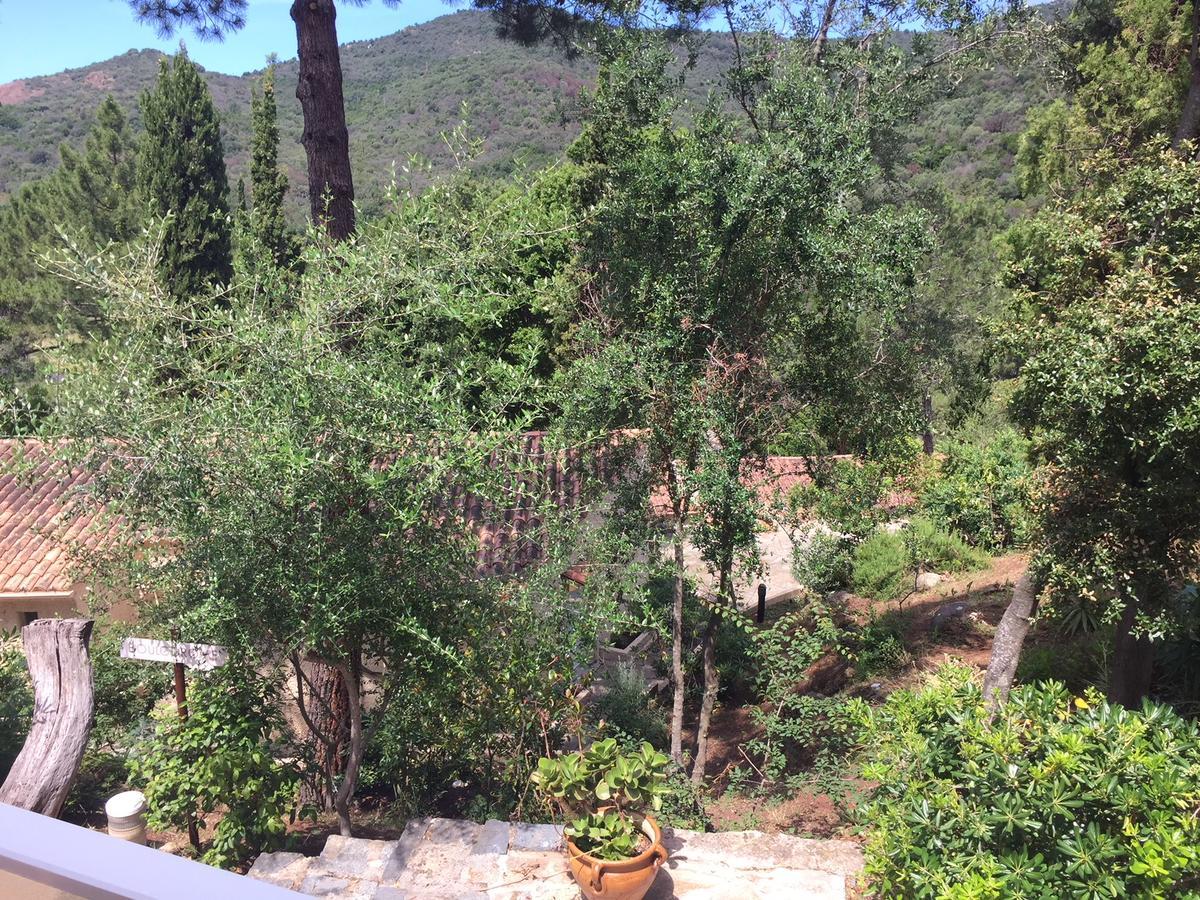 Domaine De L'Oriu Hotel Serriera  Bagian luar foto